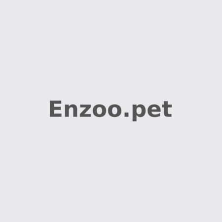 Ergonomic Paper Clock